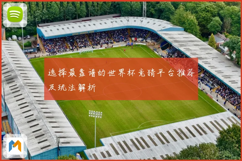 选择最靠谱的世界杯竞猜平台推荐及玩法解析