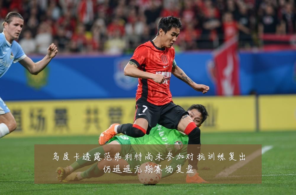 乌度卡透露范弗利特尚未参加对抗训练复出仍遥遥无期赛场复盘